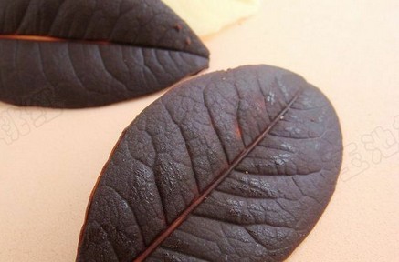 巧克力树叶的做法